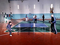 Спорт. Настольный теннис.