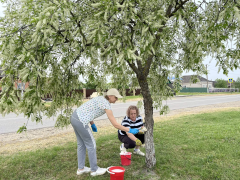В Ванновском сельском поселении прошел Всероссийский субботник,в  котором приняли участие председатели ТОС Светлана Чувакина, Анастасия Шестакова и Ирина Пархоменко