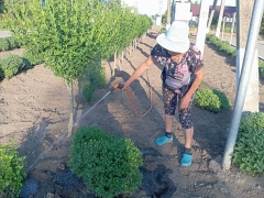 🌼 Лето в самом разгаре! 🌼