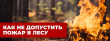 Как не допустить пожар в лесу.