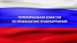 Заседание территориальной комиссии по профилактике правонарушений состоялось 25 марта в штатном режиме.