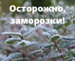 Осторожно, заморозки!
