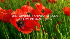Региональная межведомственная комплексная оперативно – профилактическая операция «Мак-2023»