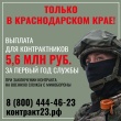 В Краснодарском крае действуют одни из самых выгодных условий для заключения контракта с Минобороны 📝